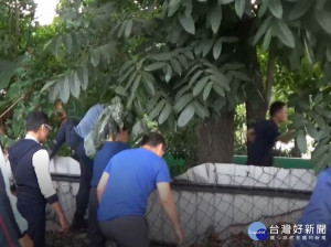 遊樂園暗藏賭場　警翻牆一舉掃蕩