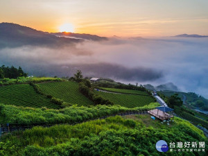 坪林區推動小旅行，用清新的影像吸引遊客對於坪林感興趣，進而自由行或參加團體套裝行程在坪林賞日出、河邊野餐享受茶食或體驗採茶 。（圖／觀旅局提供）

