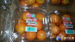 頂好超市進口自日本的鮮金柑，被驗出農藥依普同、得克利殘留超標，因此37.5公斤貨品被食藥署退運或銷毀，未流入至市面上。（圖／衛福部食藥署）