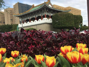鬱金花道圍古城（圖／台北市公園處提供）