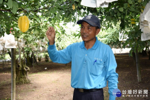 洪啟芬繼承家業堅持守護讓大眾吃到本土軟枝楊桃。