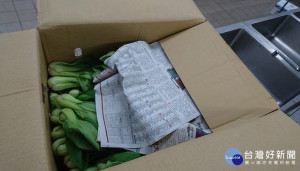台北市衛生局17日日公布2018年12月生鮮蔬果抽檢結果，此次抽驗16件蔬果產品中，有4件農藥超標，不合格率25％。（圖／台北市衛生局）