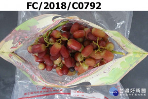 台灣生活良好國際公司進口自美國的一批葡萄，被驗出農藥賽扶寧超標，因此12930公斤貨品被食藥署退運或銷毀，未流入至市面上。（圖／衛福部食藥署）