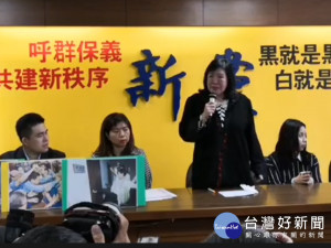 （圖／翻攝新黨臉書）