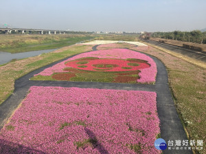 南投燈會景觀花海廣達2。5公頃。（記者扶小萍攝）