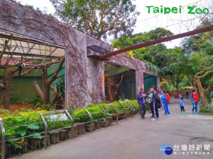 下次有機會造訪兒童動物園區，路過狐猴活動場時，記得擡起頭看看上方的廊道，或許剛好有狐猴經過唷！