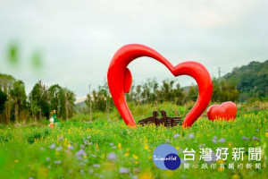 「2019戀戀魯冰花季」，在龍潭大北坑、三水及三和社區熱鬧登場！歡迎大家把握花期，來賞花。