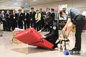 由於越南政府確認北越地區有8個豬場傳出非洲豬瘟疫情，因此台灣自即日起比照對中國入台的旅客攜帶豬肉製品的處罰措施，將範圍擴及自越南入台的旅客，若攜帶豬肉製品未申報遭查獲，首次將罰新台幣20萬元，且未繳清罰款就拒絕入境。（圖／行政院）