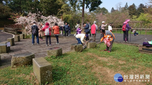 春櫻綻放清淨山林，淨山一起來