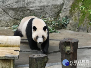 （圖／翻攝潘恆旭臉書）