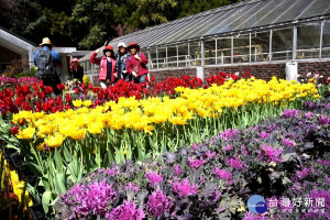 臺大梅峰山地農場一年一度舉行的「春之饗宴」即將於 3 月 31 日邁入尾聲，民眾可要把握最後機會，錯過可要等明年囉~