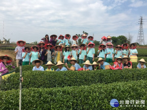 中興國中師生到名間茶園巡禮。（記者扶小萍攝）