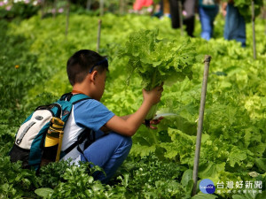 臺大山地實驗農場於暑假期間舉辦「在地蔬食」開放型活動，讓遊客體驗親手採摘蔬果的樂趣！