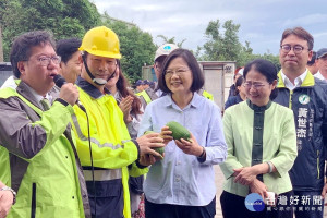 桃園市觀音區樹林里長吳進昌把蓮花田中搭棚所種出來的「菜瓜」送給蔡英文總統，預祝連任成功。