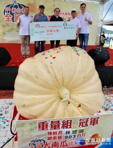 淡水農友林建訓所種的大南瓜以903斤重奪冠軍寶座
