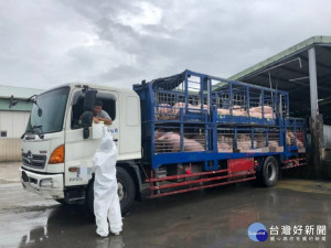 臺南市動物防疫保護處人員執行運豬車輛加裝即時追蹤系統(GPS)稽查及勸導。