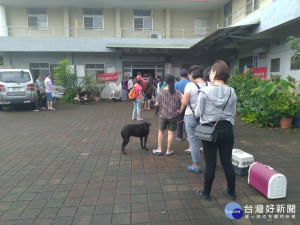 動保處限量免費辦理犬貓絕育、晶片植入登記及狂犬病疫苗注射三合一活動。