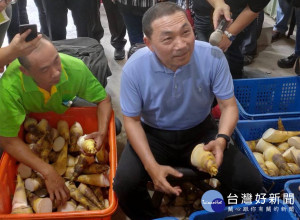 侯友宜市長到三峽插角的綠竹筍集貨場關心產銷狀況，並當起一日筍友，共同體驗分級理貨、預冷、裝箱等過程，還特別跟大家介紹挑選「上筍」的四個訣竅