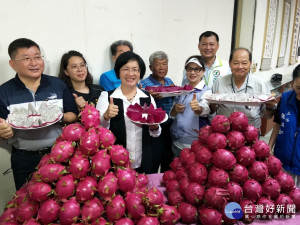 彰化優鮮紅龍果評鑑推出各鄉鎮選拔NO.1，縣長王惠美（中）代言行銷力挺農友。圖／記者鄧富珍攝