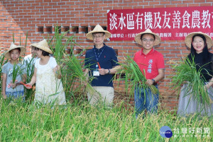 淡水三芝文史區域生態課程專書發表，並與淡水農會、農糧署合作辦理割稻體驗