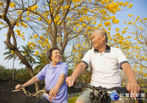 happy  senior couple riding bicycle  in the park
