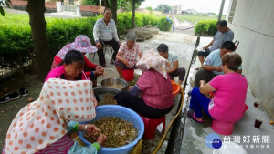 破布子盛產，學甲紅茄關據點阿嬤齊聚製作傳統古早味