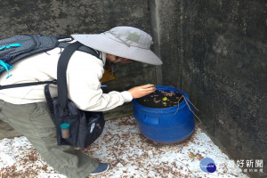 檢測積水容器。