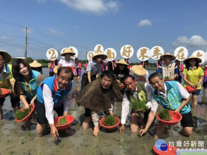 彩繪稻田以黃、綠、紫、白共4色編織出LINE貼圖人氣王的「ㄇㄚˊ幾兔」圖騰，期待10月亮相。