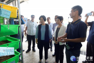 田中清潔隊飼養黑水虻去化廚餘有成，縣長王惠美接受成果導覽。