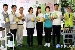 蔡英文總統行銷麻豆文旦。