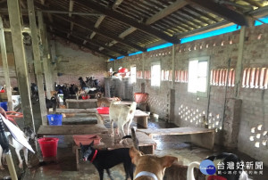 九年九班狗場涉嫌不當飼養。