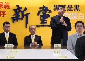 （圖／翻攝新黨臉書）