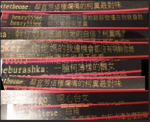 （圖／翻攝蔡宜芳臉書）