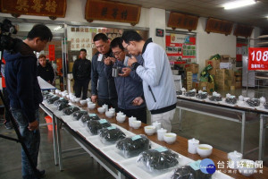 名間鄉冬片茶進入評鑑。（記者扶小萍攝）
