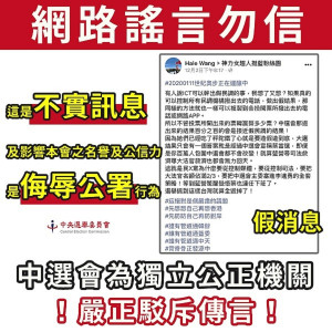 （圖／翻攝自中選會網站）