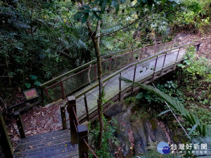 中市蝙蝠洞登山步道部分封閉施工　預計明年6月完工