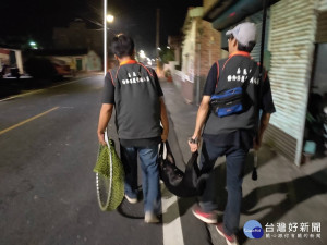 嘉義縣108年犬貓絕育將近5000隻 流浪犬絕育量達往年近6倍