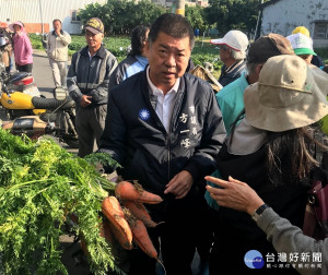 胡蘿蔔泡水後出現「水傷」裂痕。