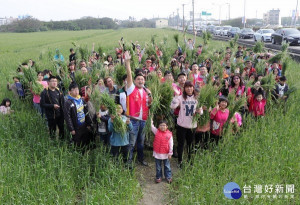 心傳愛關懷協會在麥寮月光下友善農場舉辦別具意義的割麥活動，邀請雲林家扶親子漫步麥田，體驗一日農夫，親子一同割麥趣。