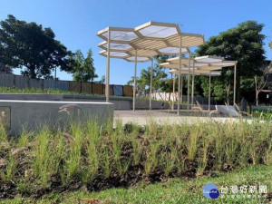 公園內設置操作花台並結合棚架創造一處休憩空間，創造更親近之手栽香花香草體（圖／台北市公園處提供）