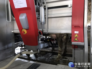 智慧擠乳機器人能夠更精準且友善的協助乳牛擠乳。