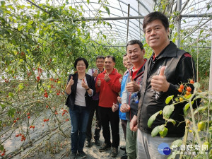 小果番茄冠軍果園觀摩取經 ，縣長王惠美推薦彰化優鮮番茄。圖／記者鄧富珍攝