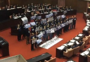 （圖／國民黨立法院黨團）