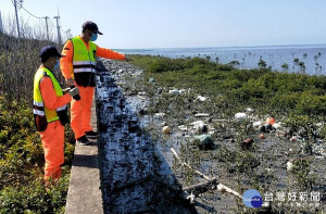 海巡署第四岸巡隊許厝寮安檢所人員於許厝寮泊地發現豬屍，立即啟動防疫管制現場並拉起封鎖線，並通報雲林縣動植物防疫所協處。（記者陳昭宗翻攝）