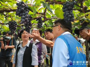 縣長王惠美關心早春葡萄產業情形。圖／記者鄧富珍攝