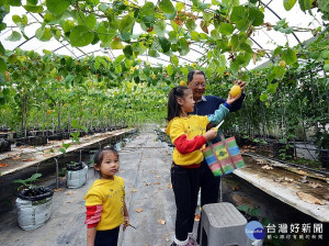 南投縣埔里鎮楓樺台一渡假村即日起至4/30推出「採果抗疫一日遊」，適合攜家帶眷一起出遊，體驗採果、DIY品嚐花卉和香草特製的壽司餐盒，享受體驗採果農家樂趣。