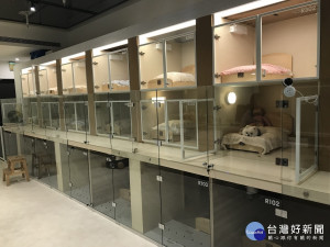 一般照護機構之安養照護情形（圖／台北市動保處）