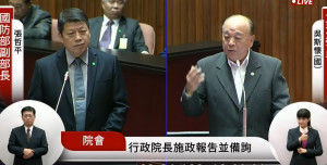 （圖／翻攝國會議事轉播）
