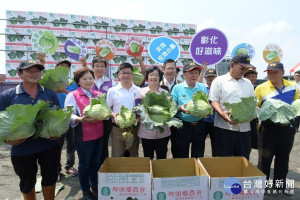 縣府媒合東碩資訊公司認購8公噸高麗菜致贈社福團體。圖／記者鄧富珍攝