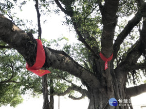西港香「辛丑香科」王船寶(舟參)製材。